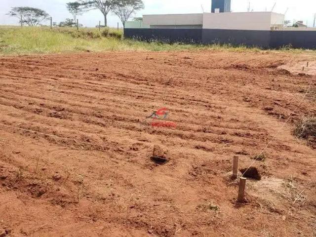 Terreno venda em Região Geográfica Imediata de Loanda, Porto Rico