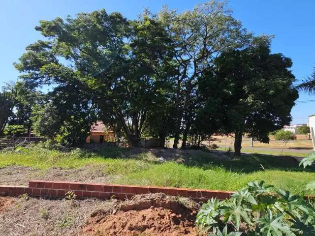 Terreno venda em Região Geográfica Imediata de Loanda, Porto Rico
