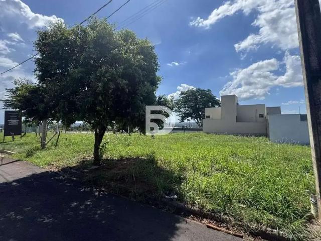 Terreno venda em Região Geográfica Imediata de Loanda, Porto Rico