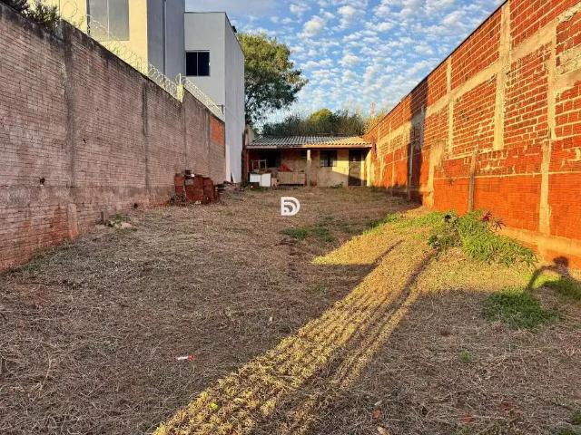 Terreno venda em Região Geográfica Imediata de Loanda, Porto Rico