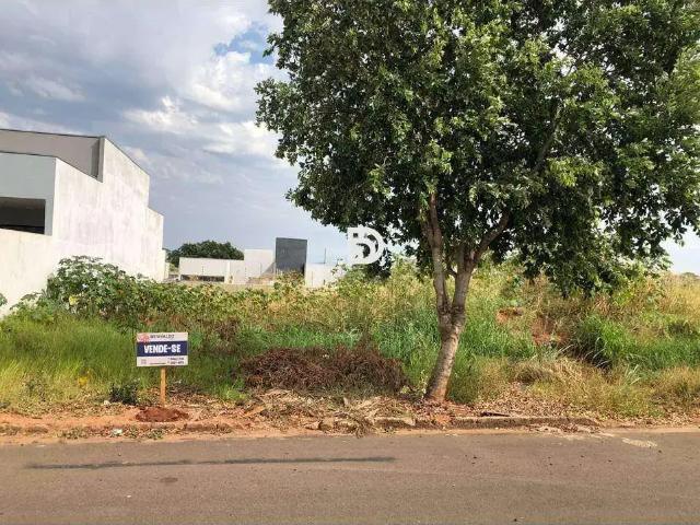 Terreno venda em Região Geográfica Imediata de Loanda, Porto Rico