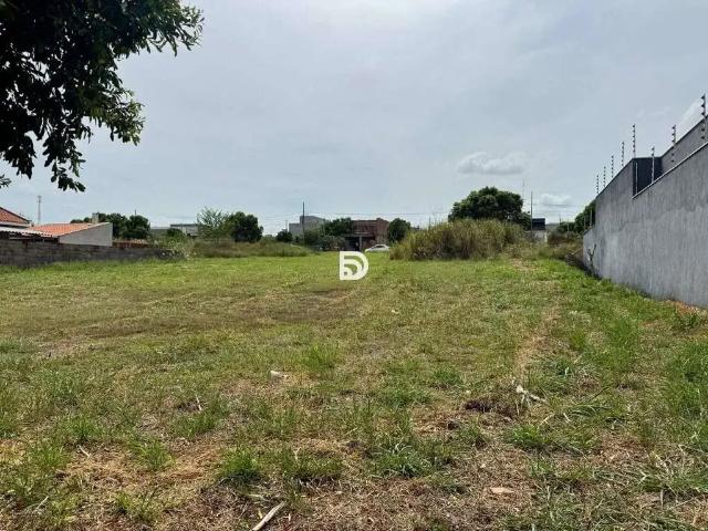 Terreno venda em Região Geográfica Imediata de Loanda, Porto Rico