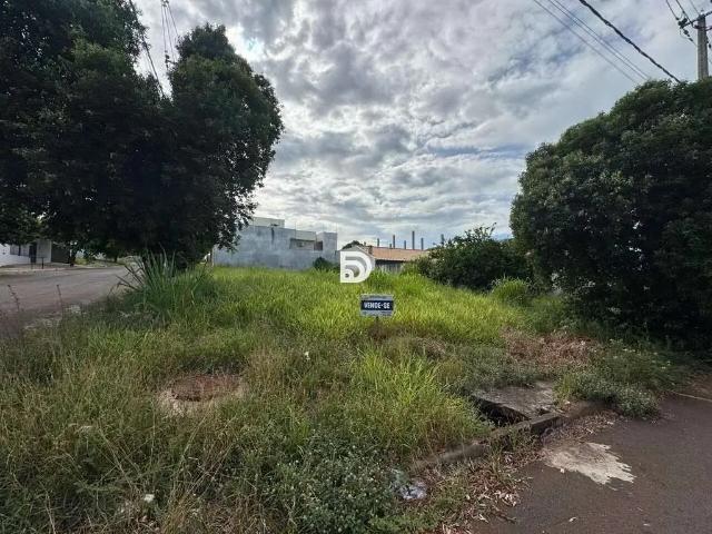 Terreno venda em Região Geográfica Imediata de Loanda, Porto Rico