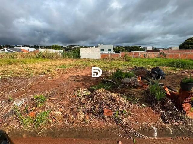 Terreno venda em Região Geográfica Imediata de Loanda, Porto Rico