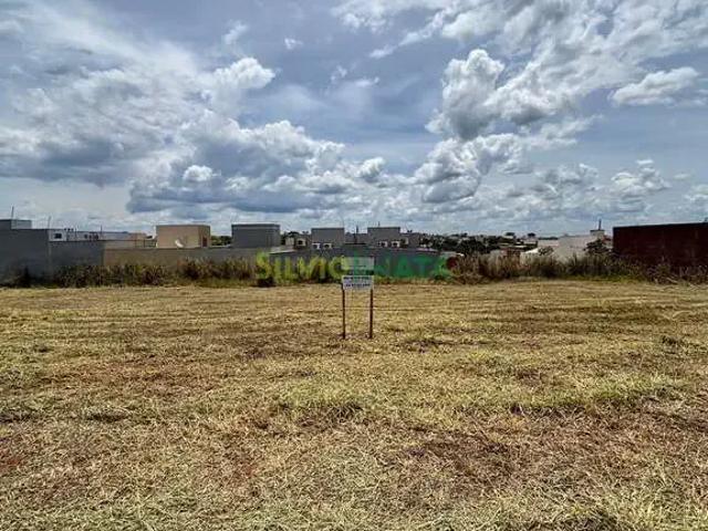 Terreno venda em Região Geográfica Imediata de Loanda, Porto Rico