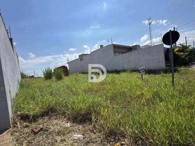 Terreno venda em Região Geográfica Imediata de Loanda, Porto Rico