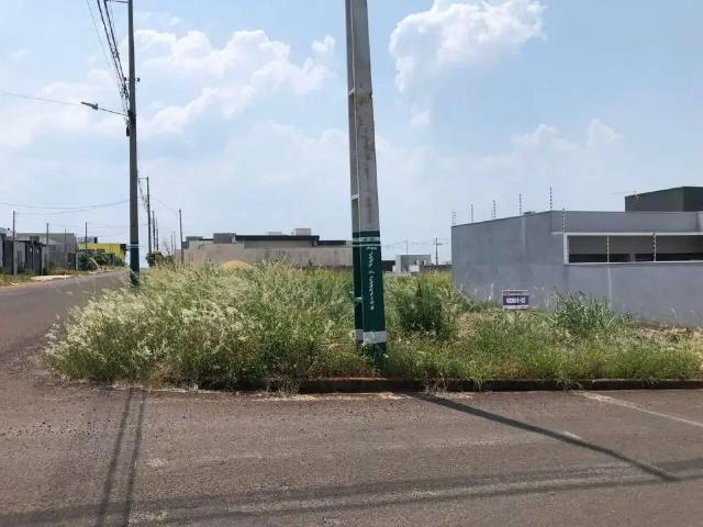 Terreno venda em Região Geográfica Imediata de Loanda, Porto Rico