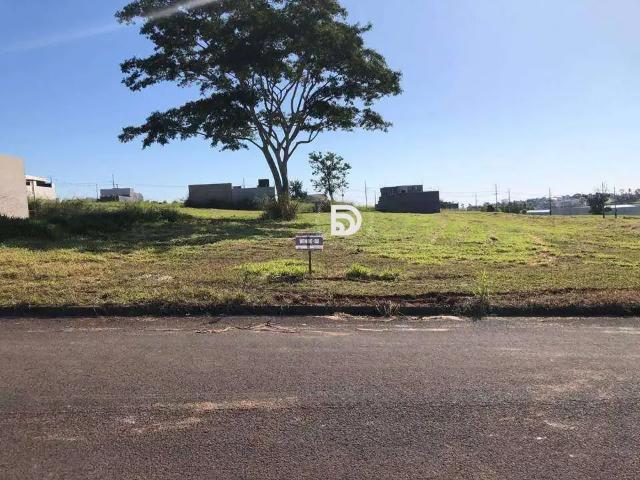 Terreno venda em Região Geográfica Imediata de Loanda, Porto Rico