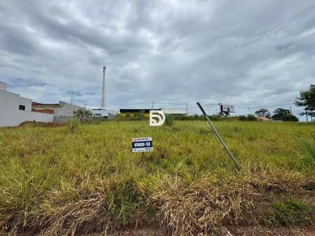 Terreno venda em Região Geográfica Imediata de Loanda, Porto Rico