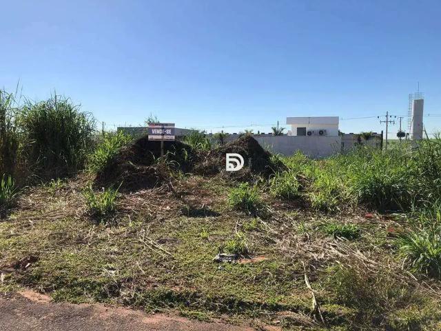 Terreno venda em Região Geográfica Imediata de Loanda, Porto Rico