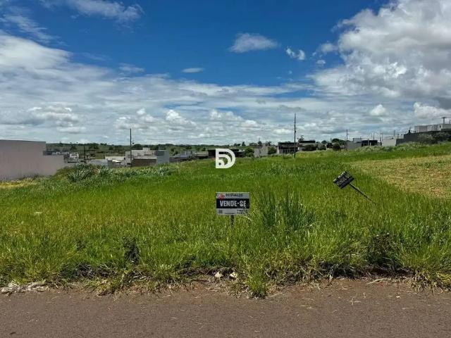 Terreno venda em Região Geográfica Imediata de Loanda, Porto Rico