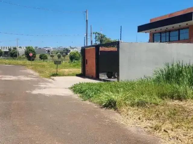 Terreno venda em Região Geográfica Imediata de Loanda, Porto Rico