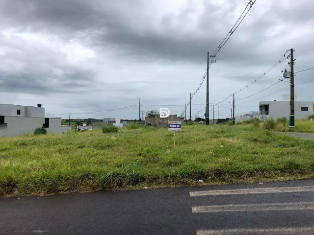 Terreno venda em Região Geográfica Imediata de Loanda, Porto Rico