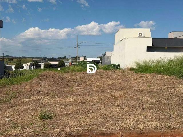 Terreno venda em Região Geográfica Imediata de Loanda, Porto Rico