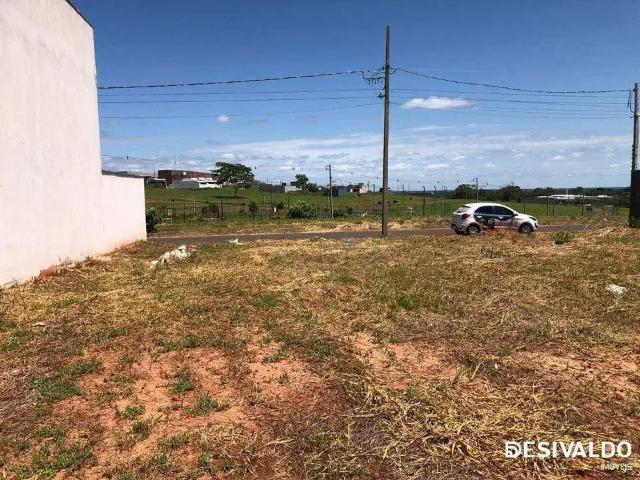 Terreno venda em Região Geográfica Imediata de Loanda, Porto Rico