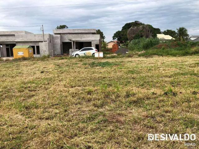 Terreno venda em Região Geográfica Imediata de Loanda, Porto Rico