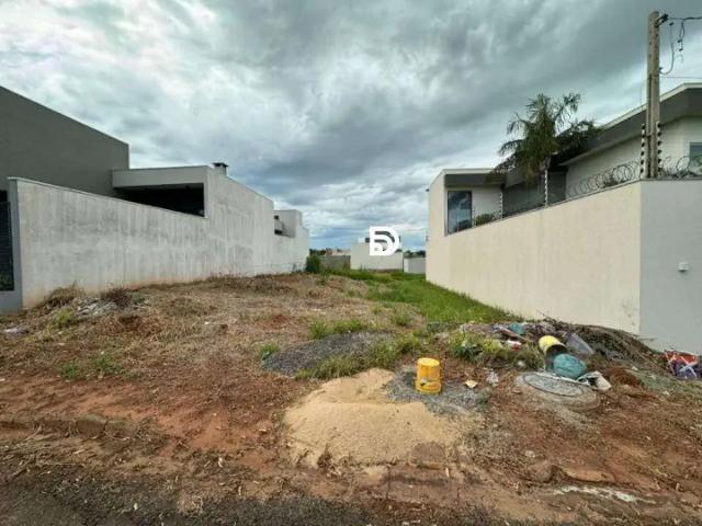 Terreno venda em Região Geográfica Imediata de Loanda, Porto Rico