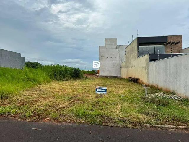 Terreno venda em Região Geográfica Imediata de Loanda, Porto Rico