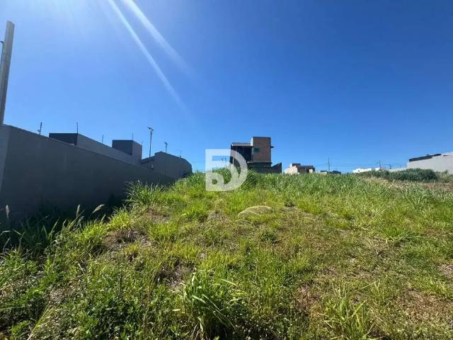 Terreno venda em Região Geográfica Imediata de Loanda, Porto Rico