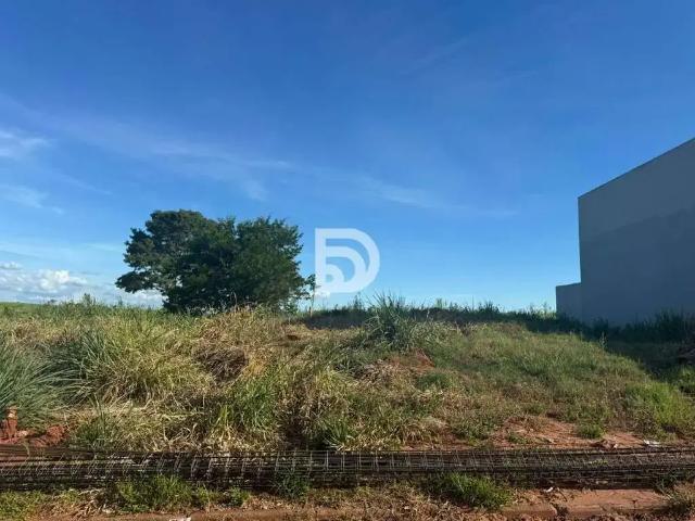 Terreno venda em Região Geográfica Imediata de Loanda, Porto Rico