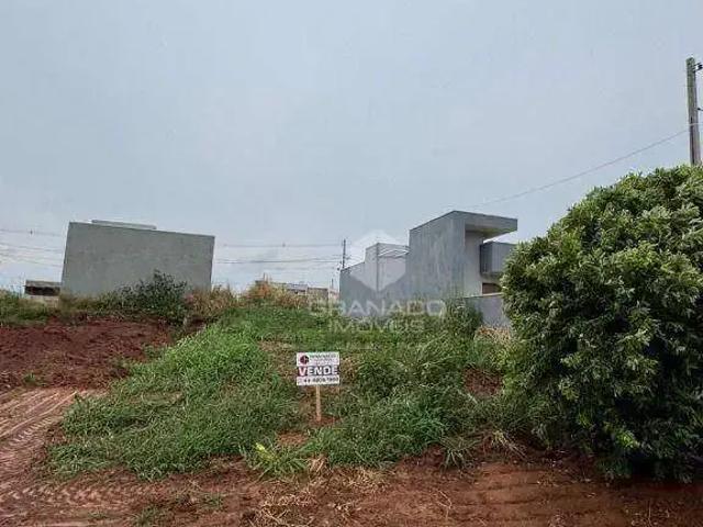 Terreno venda em Região Geográfica Imediata de Loanda, Porto Rico