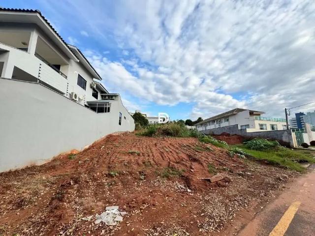 Terreno venda em Região Geográfica Imediata de Loanda, Porto Rico