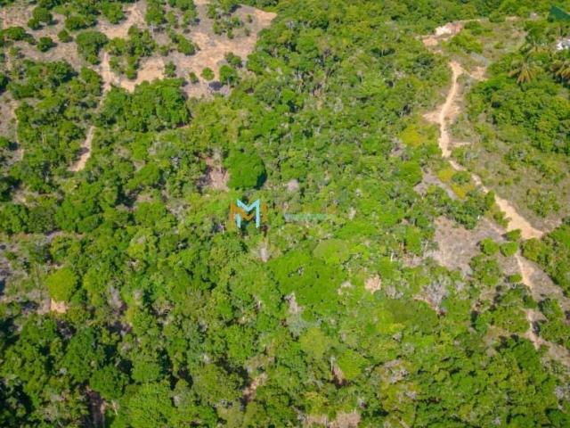 Terreno venda em Arraial D'Ajuda, Porto Seguro