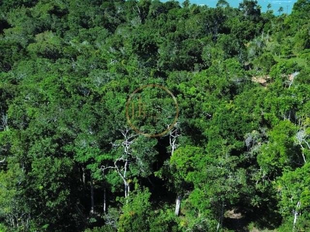 Terreno venda em Arraial D'Ajuda, Porto Seguro