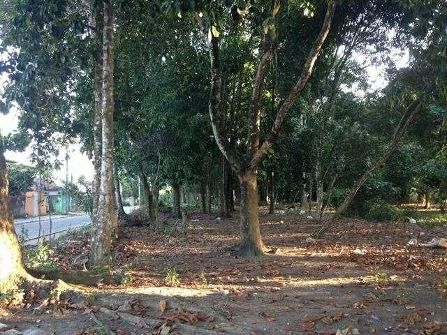 Terreno venda em Região Geográfica Imediata de Eunápolis - Porto Seguro, Porto Seguro