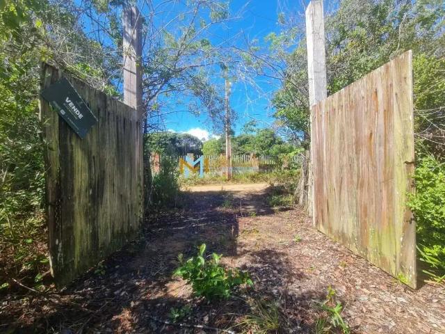 Terreno venda em Região Geográfica Imediata de Eunápolis - Porto Seguro, Porto Seguro