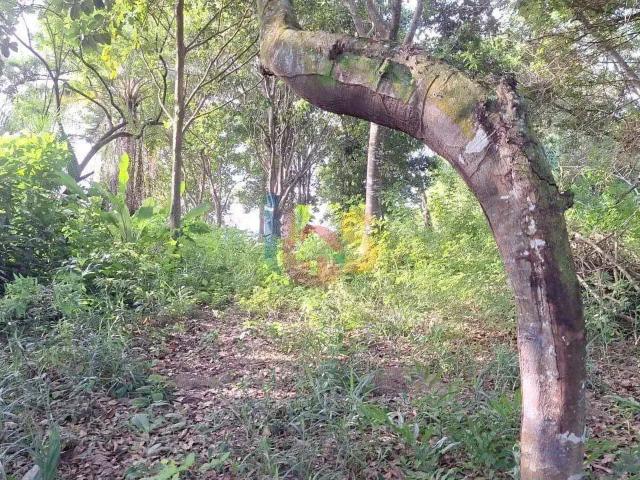 Terreno venda em Região Geográfica Imediata de Eunápolis - Porto Seguro, Porto Seguro