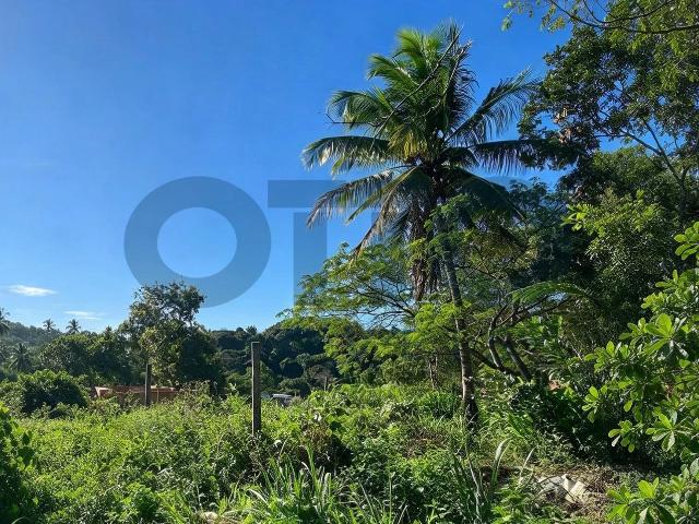 Terreno venda em Arraial D'Ajuda, Porto Seguro