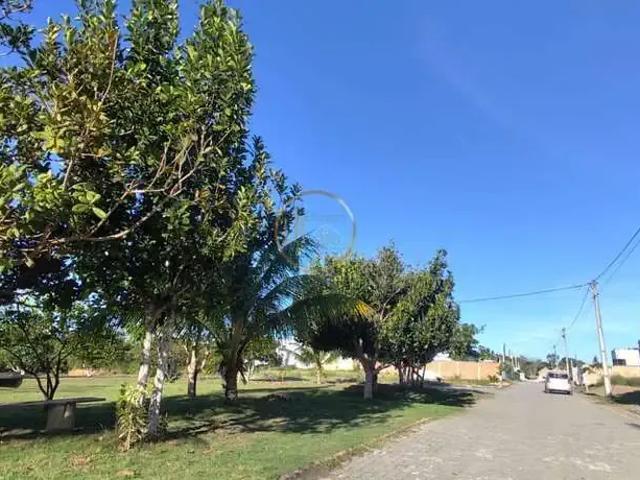 Terreno venda em Região Geográfica Imediata de Eunápolis - Porto Seguro, Porto Seguro