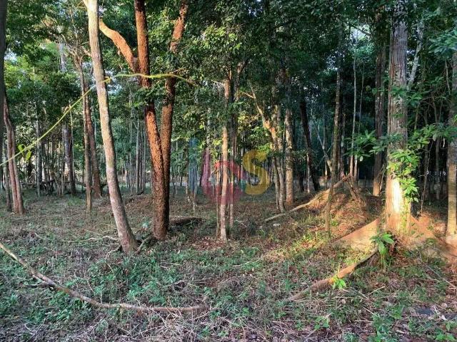 Terreno venda em Região Geográfica Imediata de Eunápolis - Porto Seguro, Porto Seguro