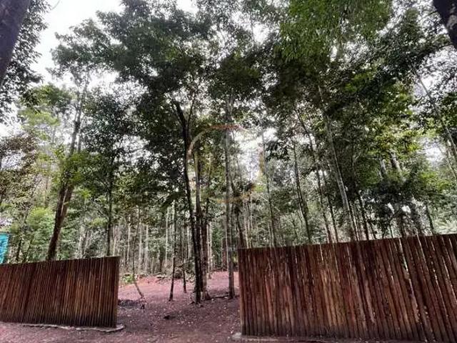 Terreno venda em Região Geográfica Imediata de Eunápolis - Porto Seguro, Porto Seguro