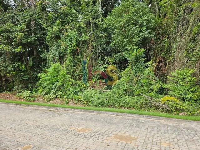 Terreno venda em Região Geográfica Imediata de Eunápolis - Porto Seguro, Porto Seguro