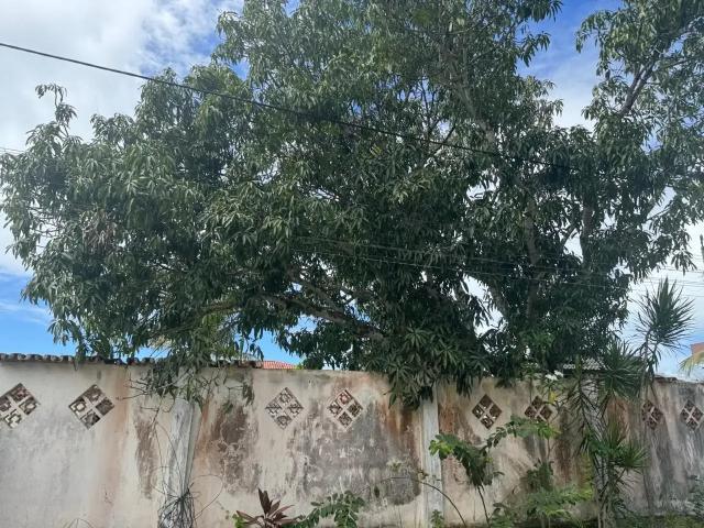 Terreno venda em Região Geográfica Imediata de Eunápolis - Porto Seguro, Porto Seguro