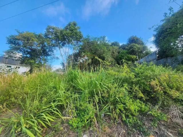 Terreno venda em Região Geográfica Imediata de Eunápolis - Porto Seguro, Porto Seguro