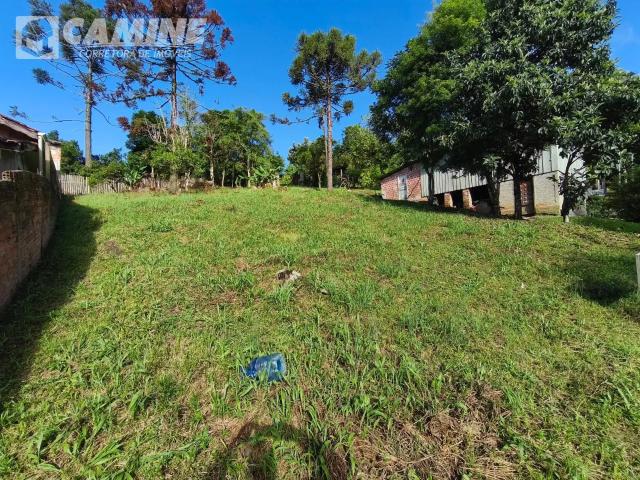 Terreno venda em Região Geográfica Imediata de Mafra, Porto União