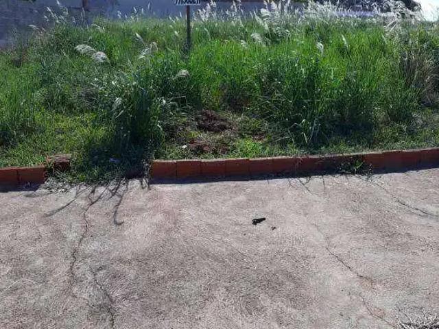 Terreno venda em Região Imediata de São José do Rio Preto, Região Metropolitana de São José do Rio Preto