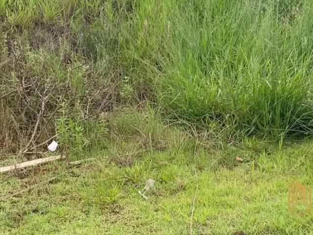 Terreno venda em Região Geográfica Imediata de Pouso Alegre, Pouso Alegre
