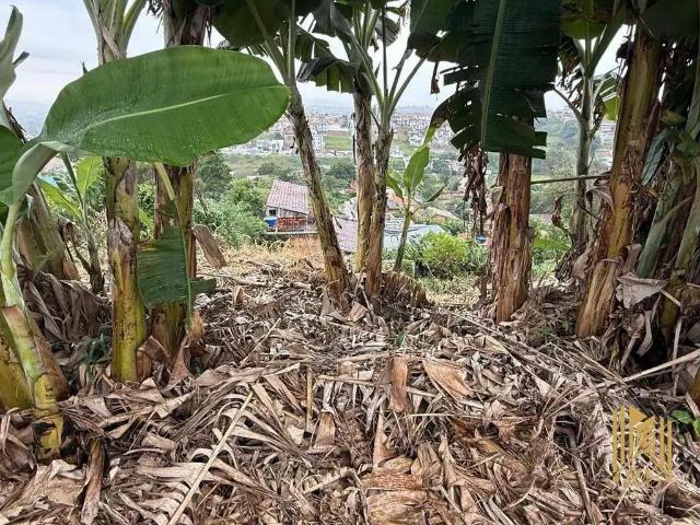 Terreno venda em Região Geográfica Imediata de Pouso Alegre, Pouso Alegre