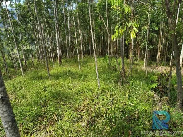 Terreno venda em Região Geográfica Imediata de Salvador, Região Metropolitana de Salvador