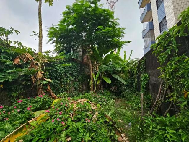 Terreno venda em Região Imediata de Santos, Região Metropolitana da Baixada Santista