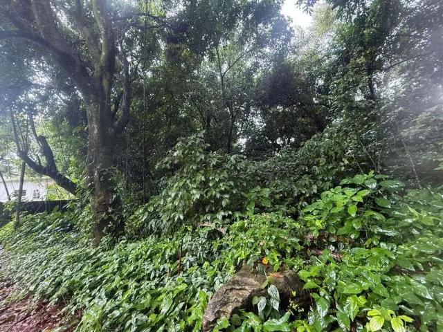 Terreno venda em Região Imediata de Santos, Região Metropolitana da Baixada Santista