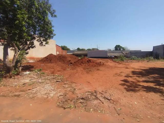 Terreno venda em Região Geográfica Imediata de Maringá, Presidente Castelo Branco