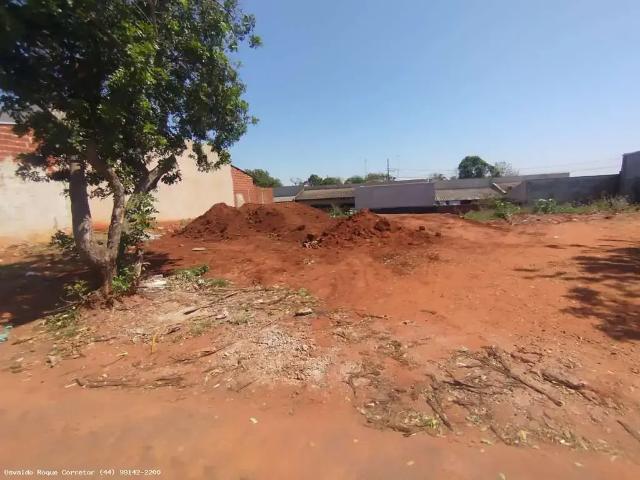 Terreno venda em Região Geográfica Imediata de Maringá, Presidente Castelo Branco