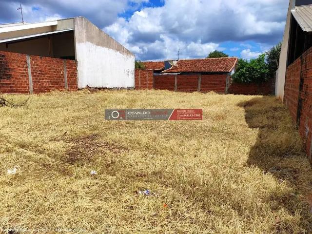 Terreno venda em Região Geográfica Imediata de Maringá, Presidente Castelo Branco