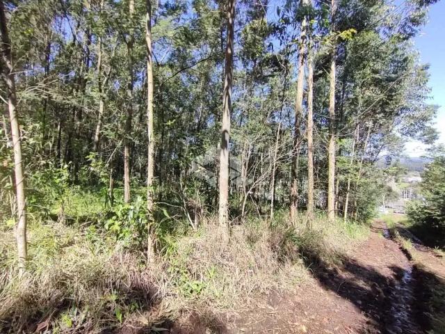 Terreno venda em Região Geográfica Imediata de Novo Hamburgo - São Leopoldo, Presidente Lucena
