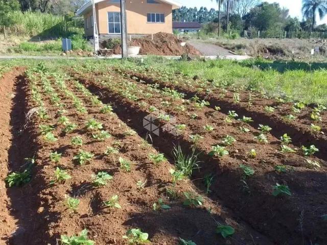 Terreno venda em Região Geográfica Imediata de Novo Hamburgo - São Leopoldo, Presidente Lucena